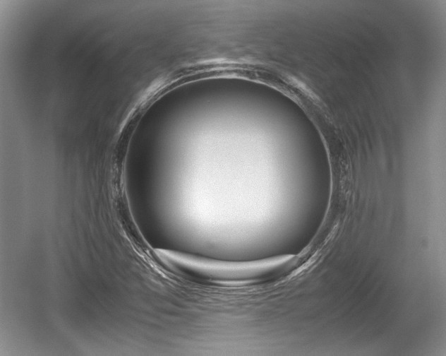 X0000059051357200510101001