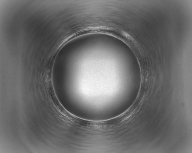 X0000059051361200510101001
