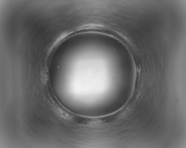 X0000059051363200510101001
