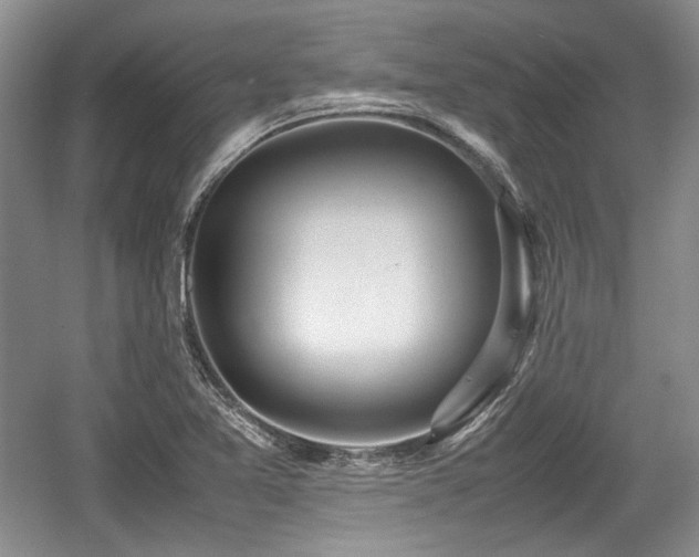 X0000059051365200510101001