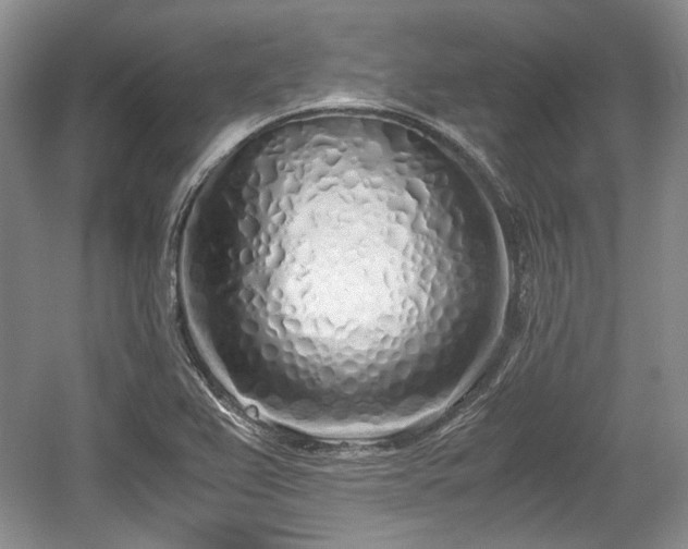 X0000059051367200510101001