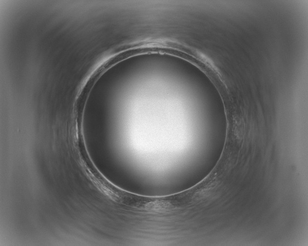 X0000059051368200510101001
