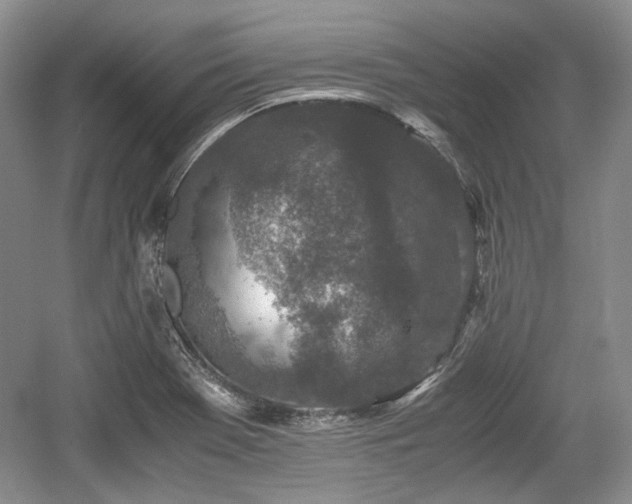 X0000059051369200510101001