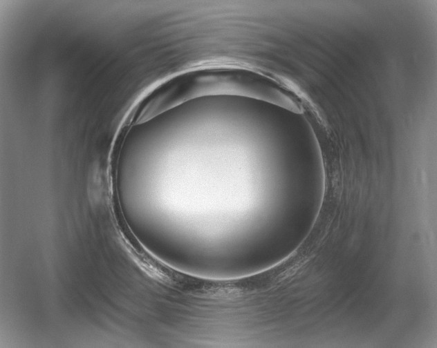 X0000059051372200510101001