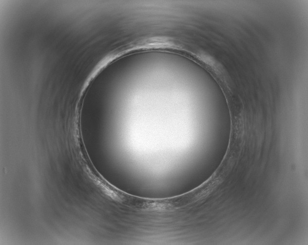 X0000059051374200510101001