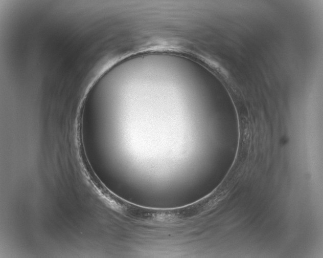 X0000059051375200510101000