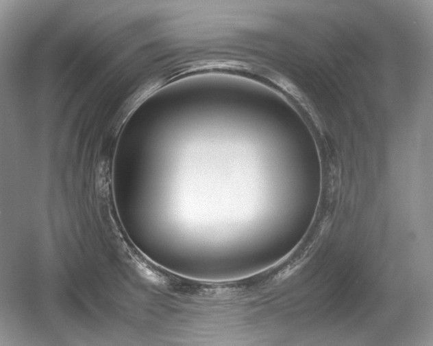 X0000059051377200510101000