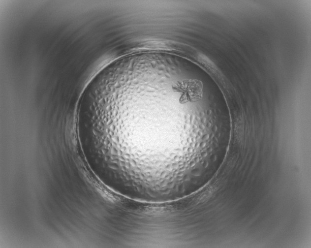 X0000059051378200510101000