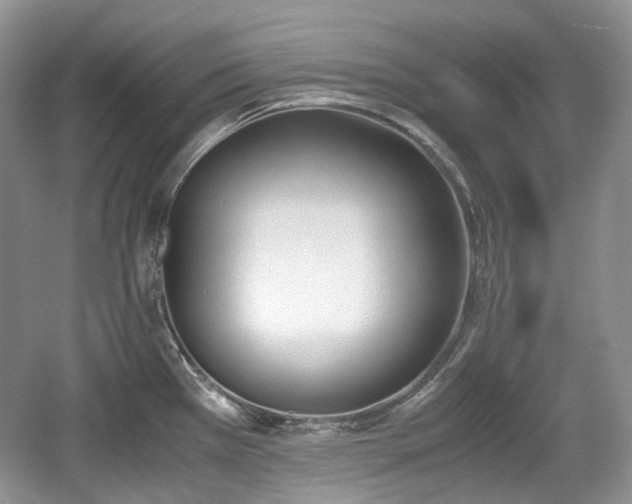 X0000059051385200510101000