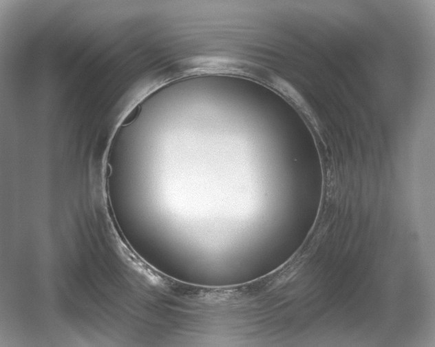 X0000059051386200510101000