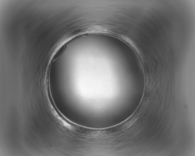 X0000059051387200510101000
