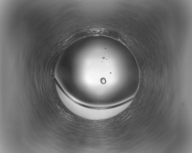X0000059051394200510100959