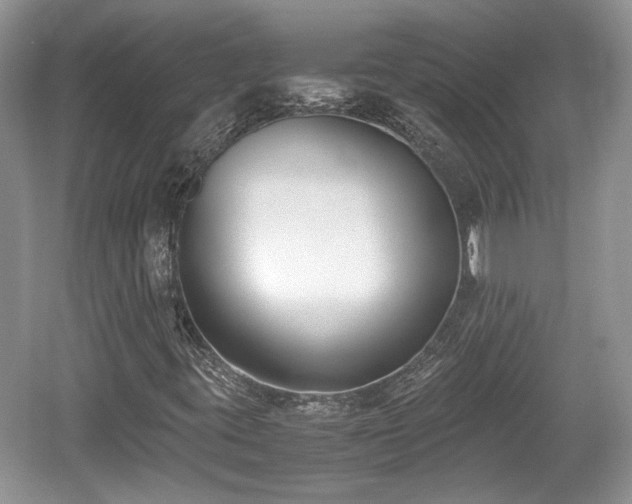 X0000059051395200510100959
