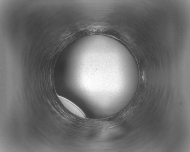 X0000059051396200510100959