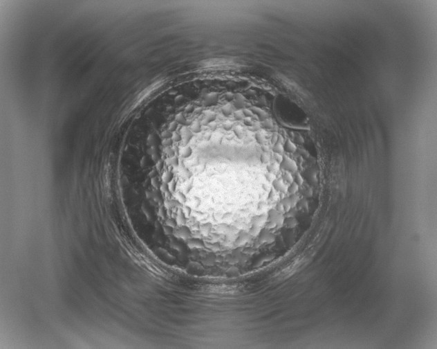 X0000059051401200510101000