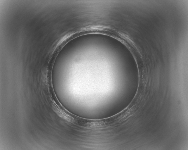 X0000059051404200510101000