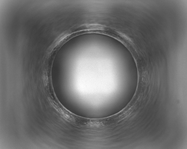 X0000059051407200510101000