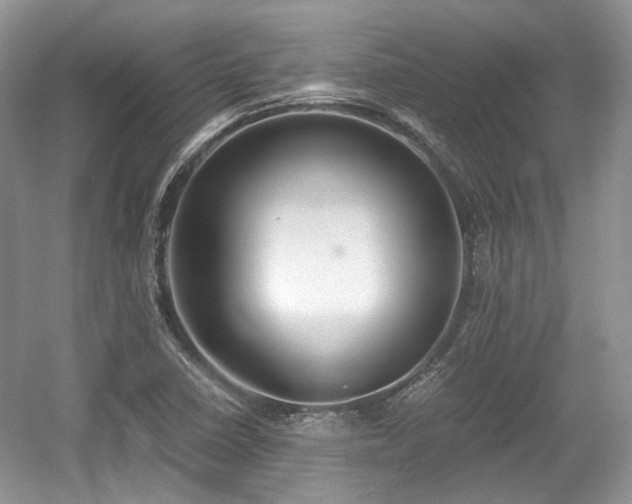 X0000059051410200510101000