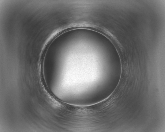 X0000059051416200510101000