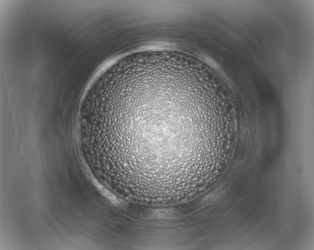 X0000059051421200510101000