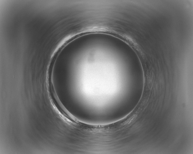 X0000059051422200510101000