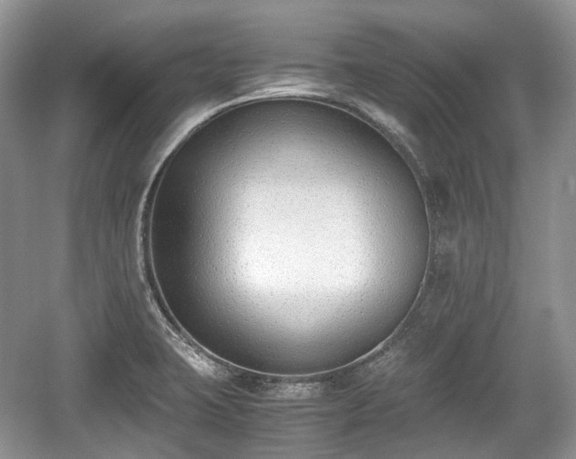 X0000059051423200510101000