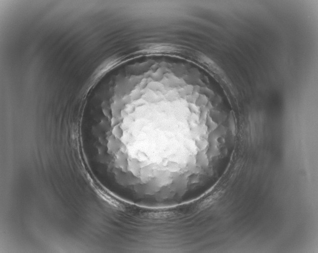 X0000059051425200510101000