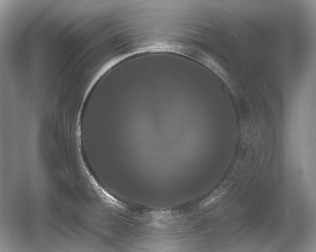 X0000059051428200510101000