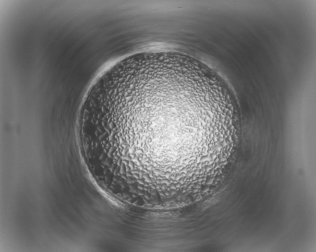 X0000059051429200510101000
