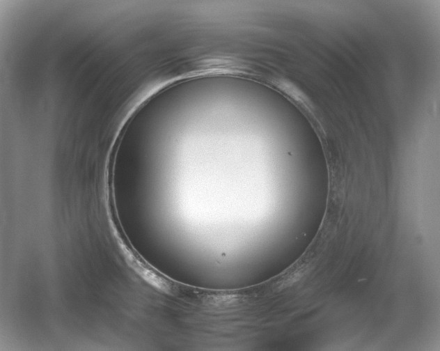 X0000059051431200510101000