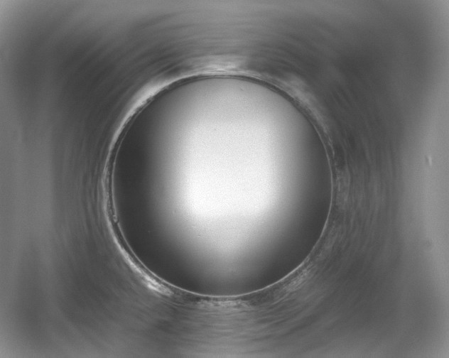 X0000059051432200510101000