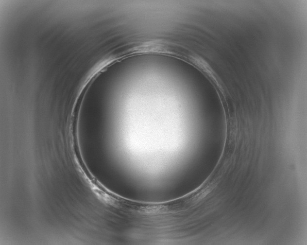 X0000059051434200510101000