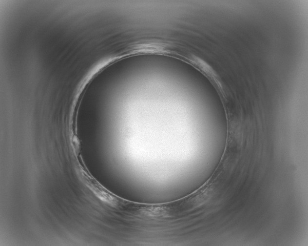 X0000059051435200510101000