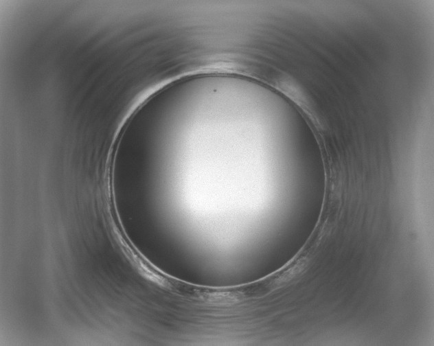 X0000059051436200510101000