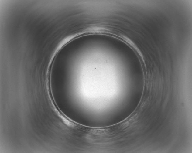 X0000059051437200510101000