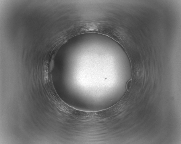 X0000059051442200510100959