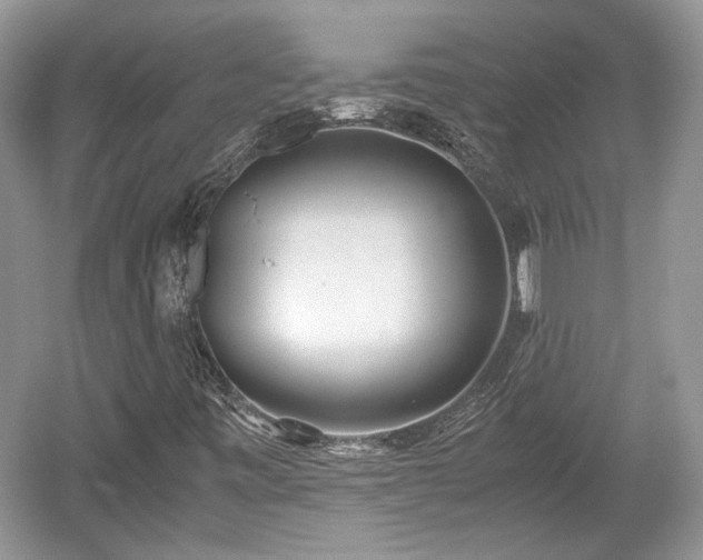 X0000059051443200510100959