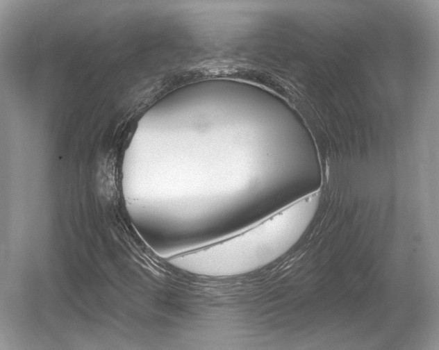 X0000059051444200510100959
