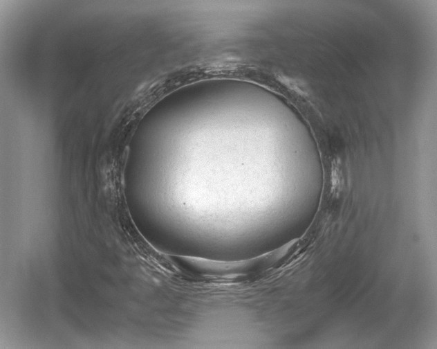 X0000059051445200510100959