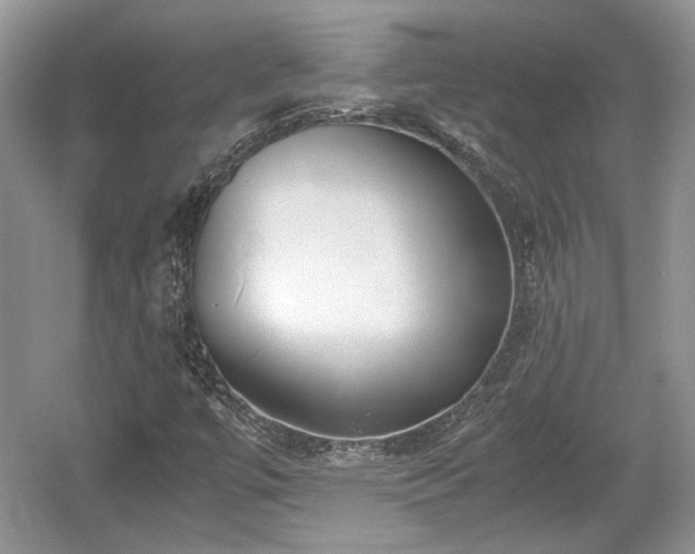 X0000059051447200510100959