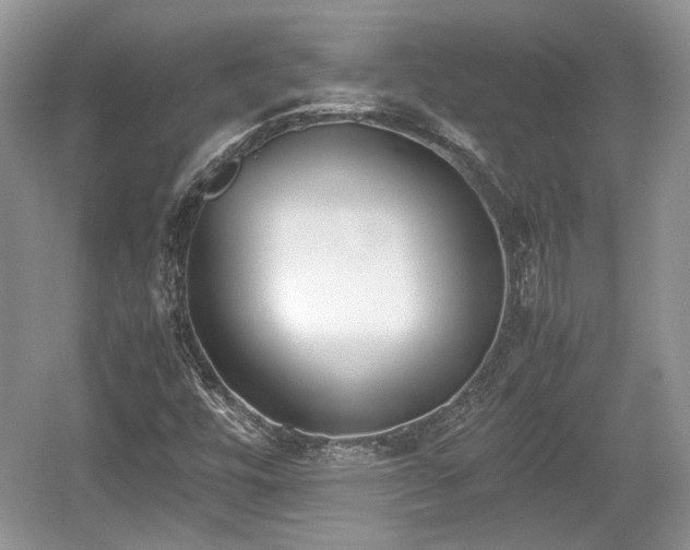 X0000059051448200510100959