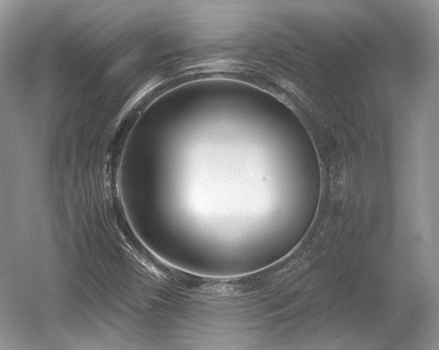 X0000059051450200510100959