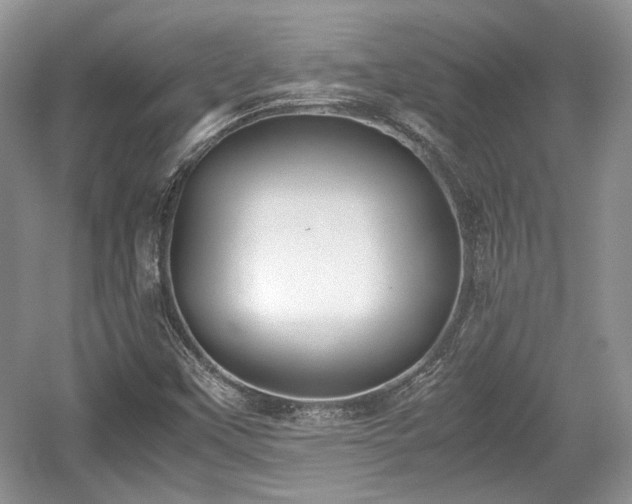 X0000059051451200510100959