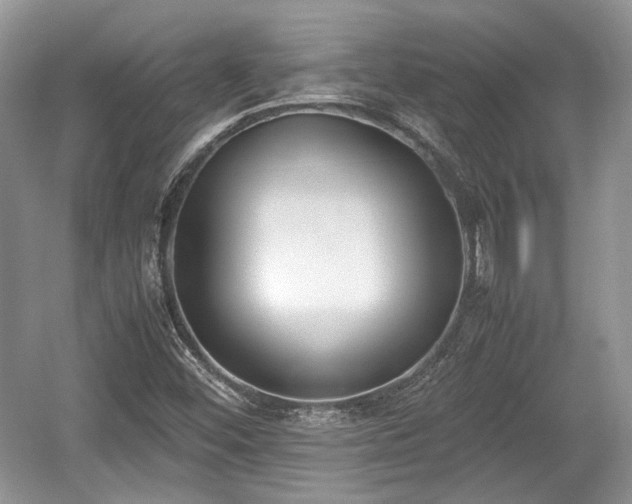 X0000059051452200510100959