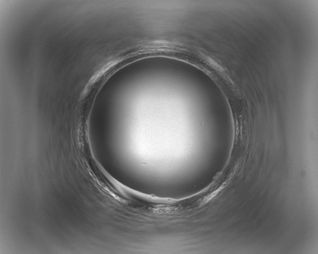 X0000059051453200510100959