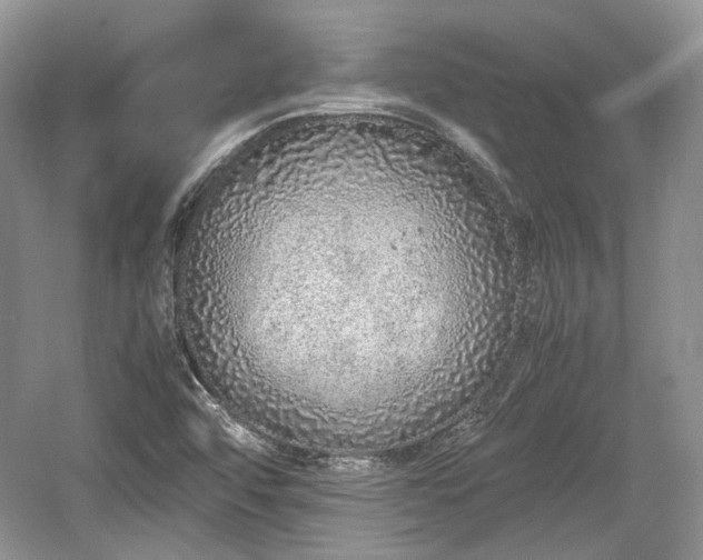 X0000059051456200510100959
