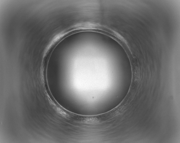 X0000059051464200510100959