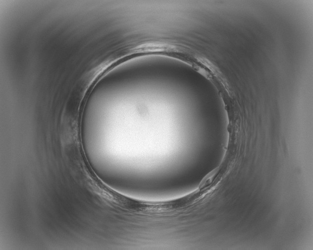 X0000059051465200510100959