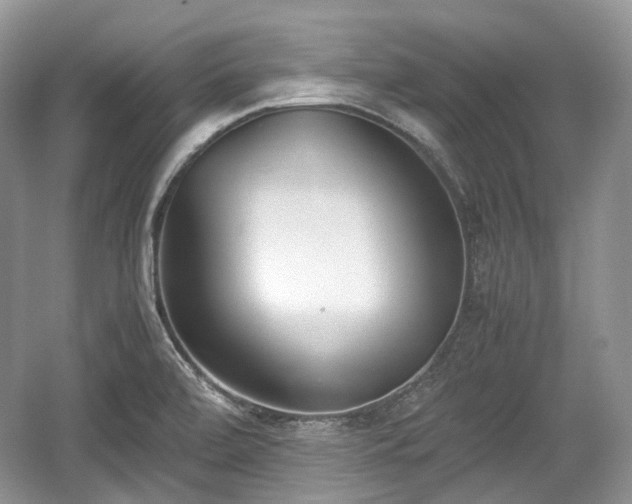 X0000059051472200510100959