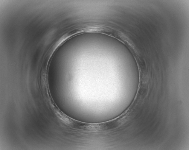 X0000059051473200510100959